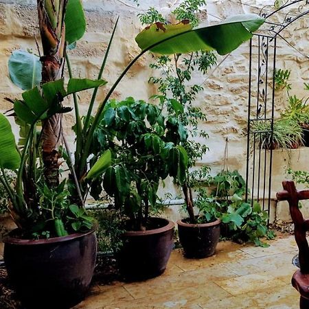הגן הקסום, הצימר בבאר שבע Hotel Ngoại thất bức ảnh